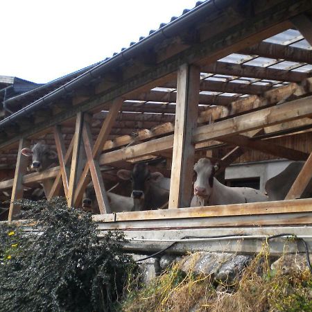 Weberhof Trins Exterior foto
