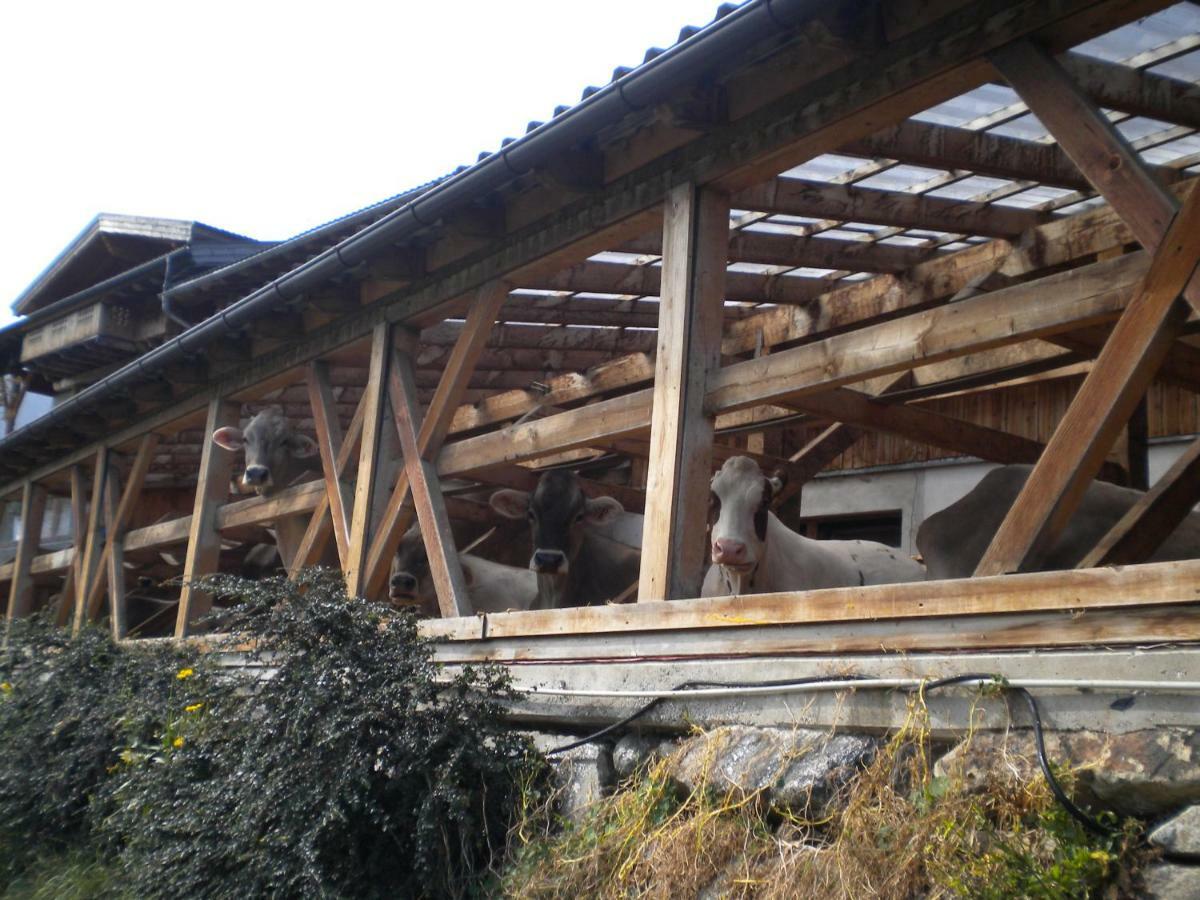 Weberhof Trins Exterior foto